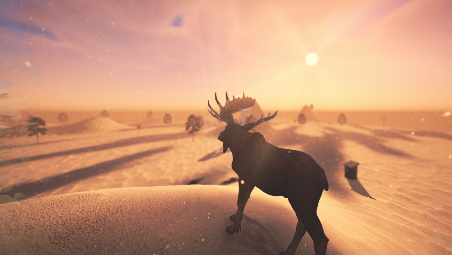 A moose crossing snowfields at sunrise