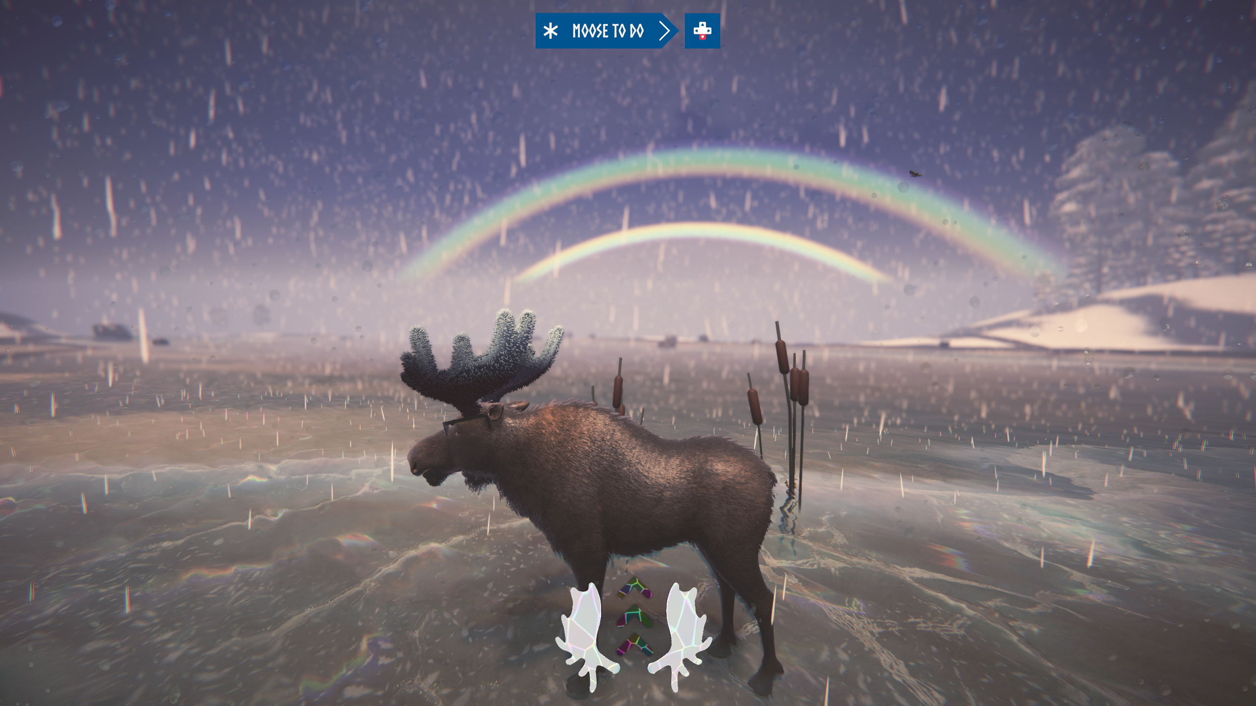 A moose in glasses standing on ice under a double rainbow in the rain