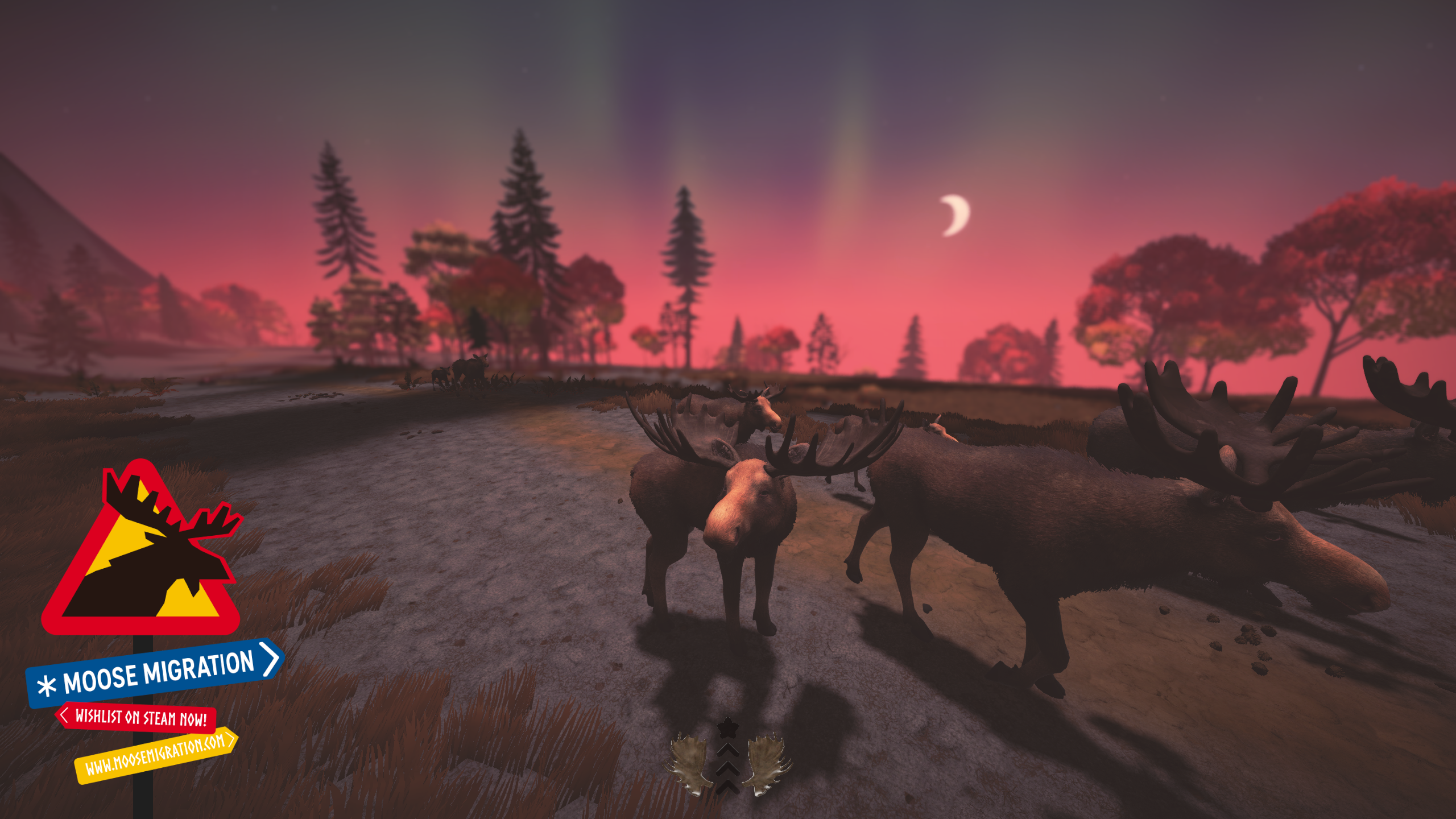 Moose under northern lights among red autumn trees