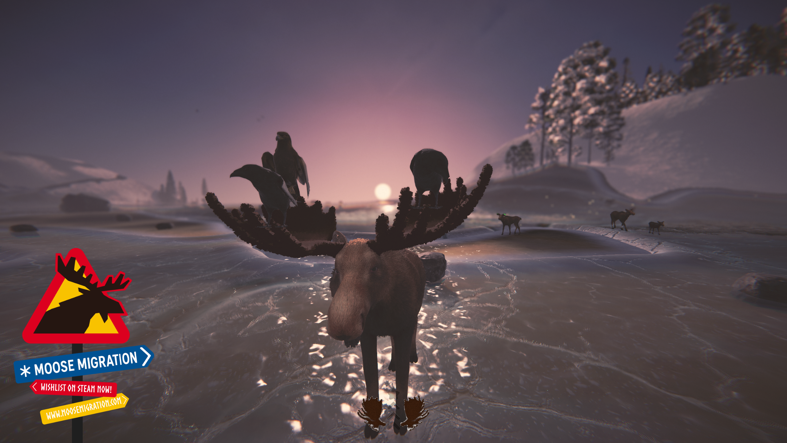 A moose on thawing ice at dawn with birds on its antlers