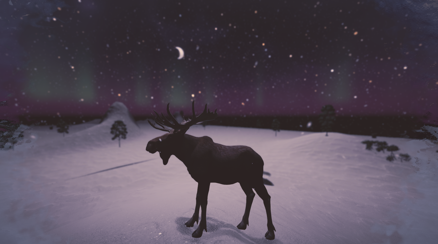 Northern lights over a snowy plain