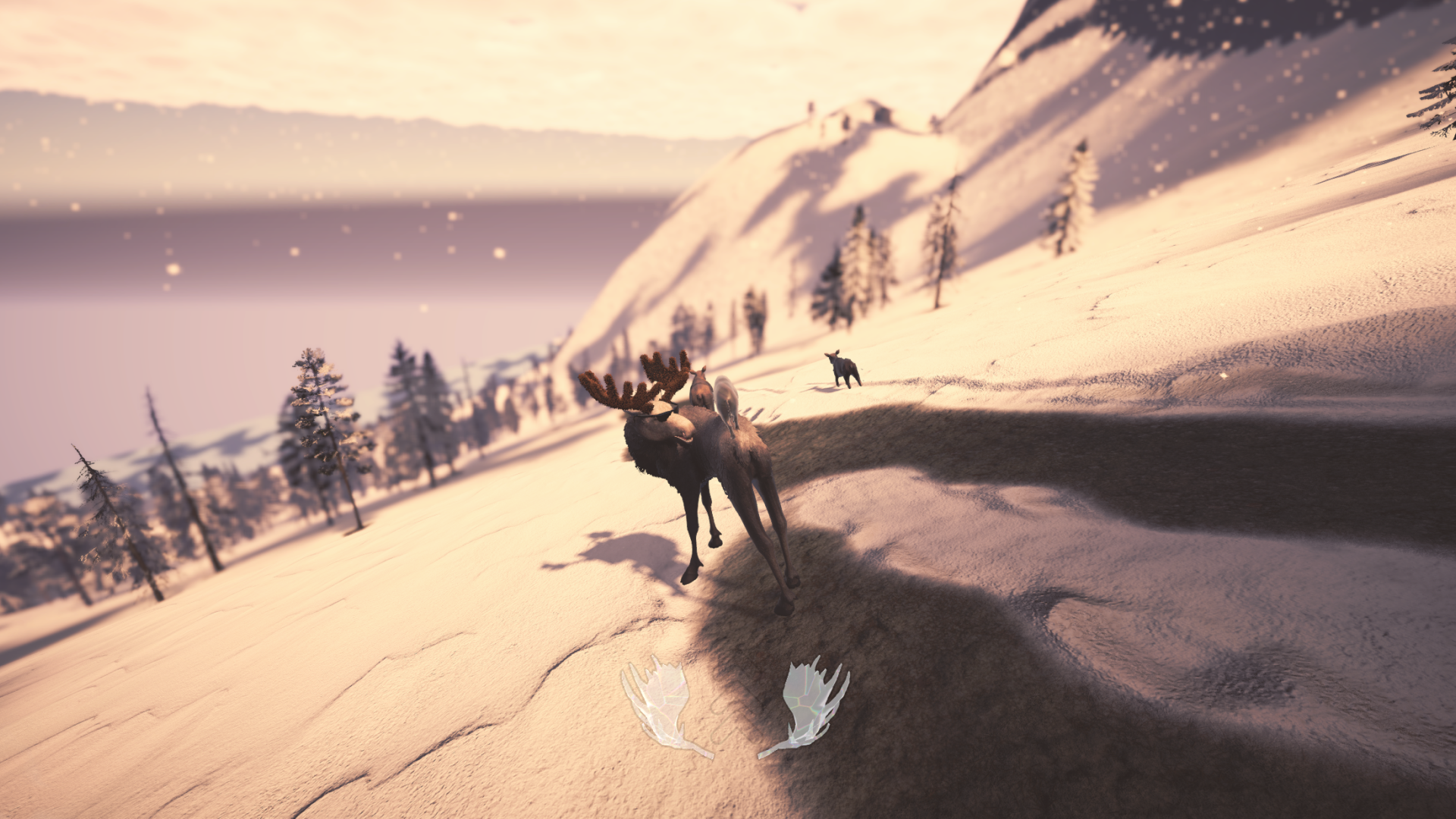 Descending a snowy slope above the water